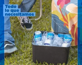CERVEZA POLAR