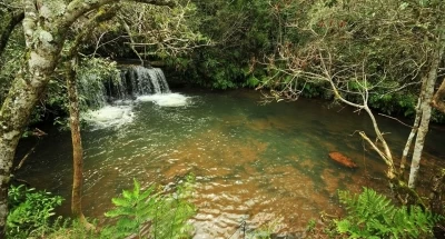 RESERVA NATURAL MOROMBI