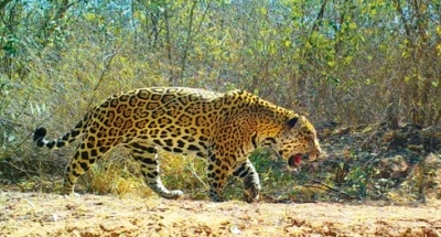RESERVA NATURAL MOROMBI