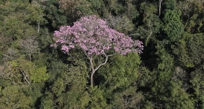 RESERVA NATURAL MOROMBI